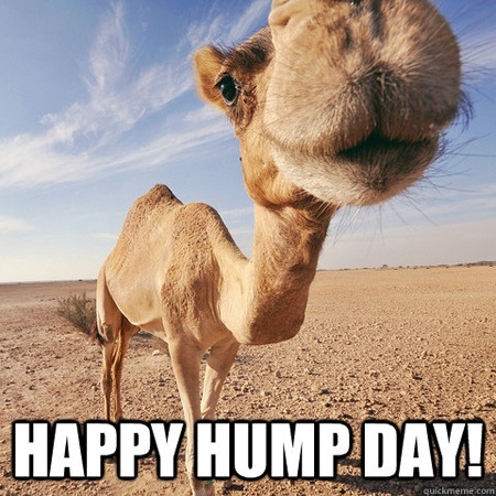 hump day