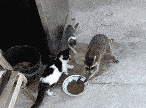 five finger discount